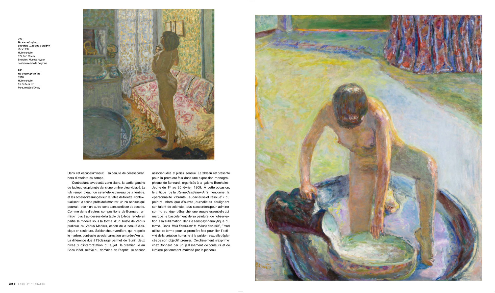 Bonnard illustrateur 図録 ガイドブック Bonnard illustrateur 図録